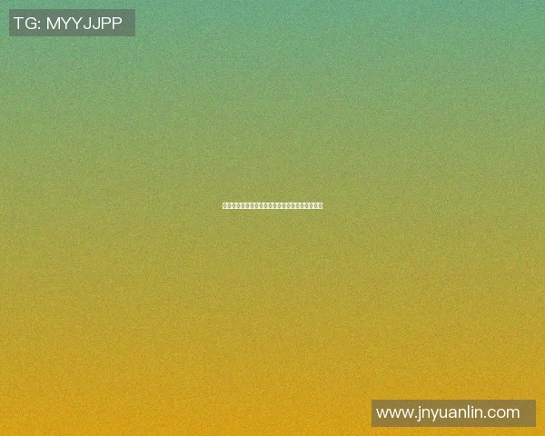 从辉煌到低谷足球明星背后的不为人知的苦难历程